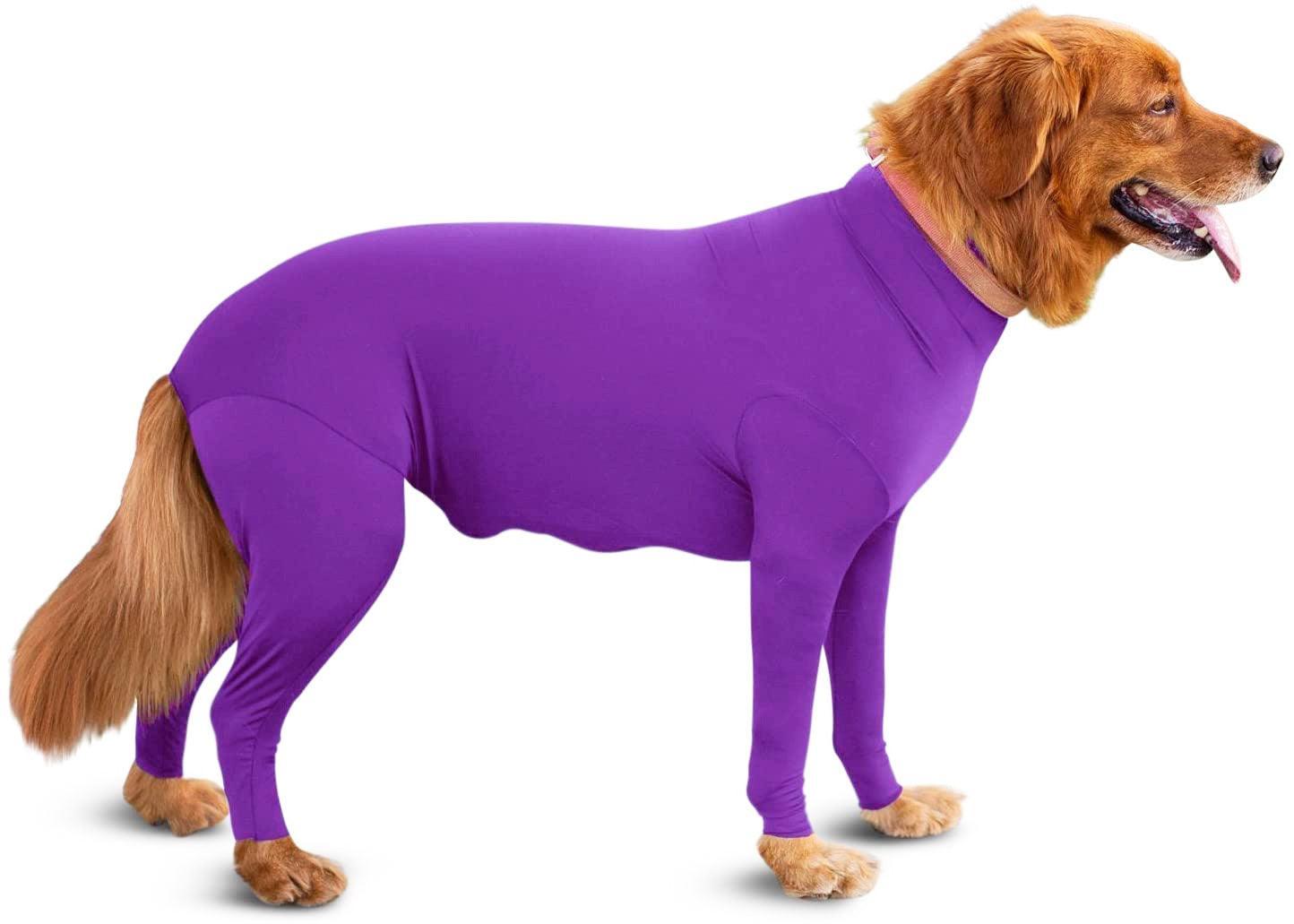 Alluring Four-Legged Elastic Pet Clothing For Autumn And Winter