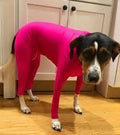 Alluring Four-Legged Elastic Pet Clothing For Autumn And Winter
